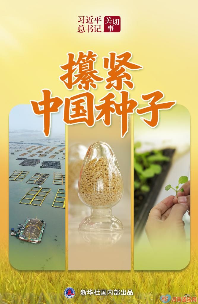 习近平总书记关切事丨攥紧中国种子