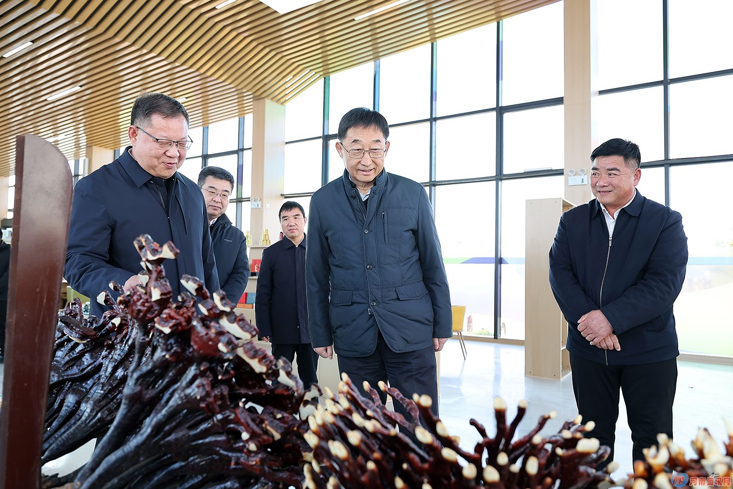 刘宁到三门峡义马和洛阳洛宁栾川嵩县调研推动工作时强调：提高生态环境治理能力水平 让群众获得更多普惠性民生福祉