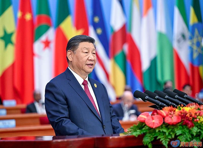 时政微观察丨续写中非友好的时代新篇