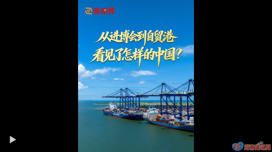 从进博会到自贸港，看见了怎样的中国？